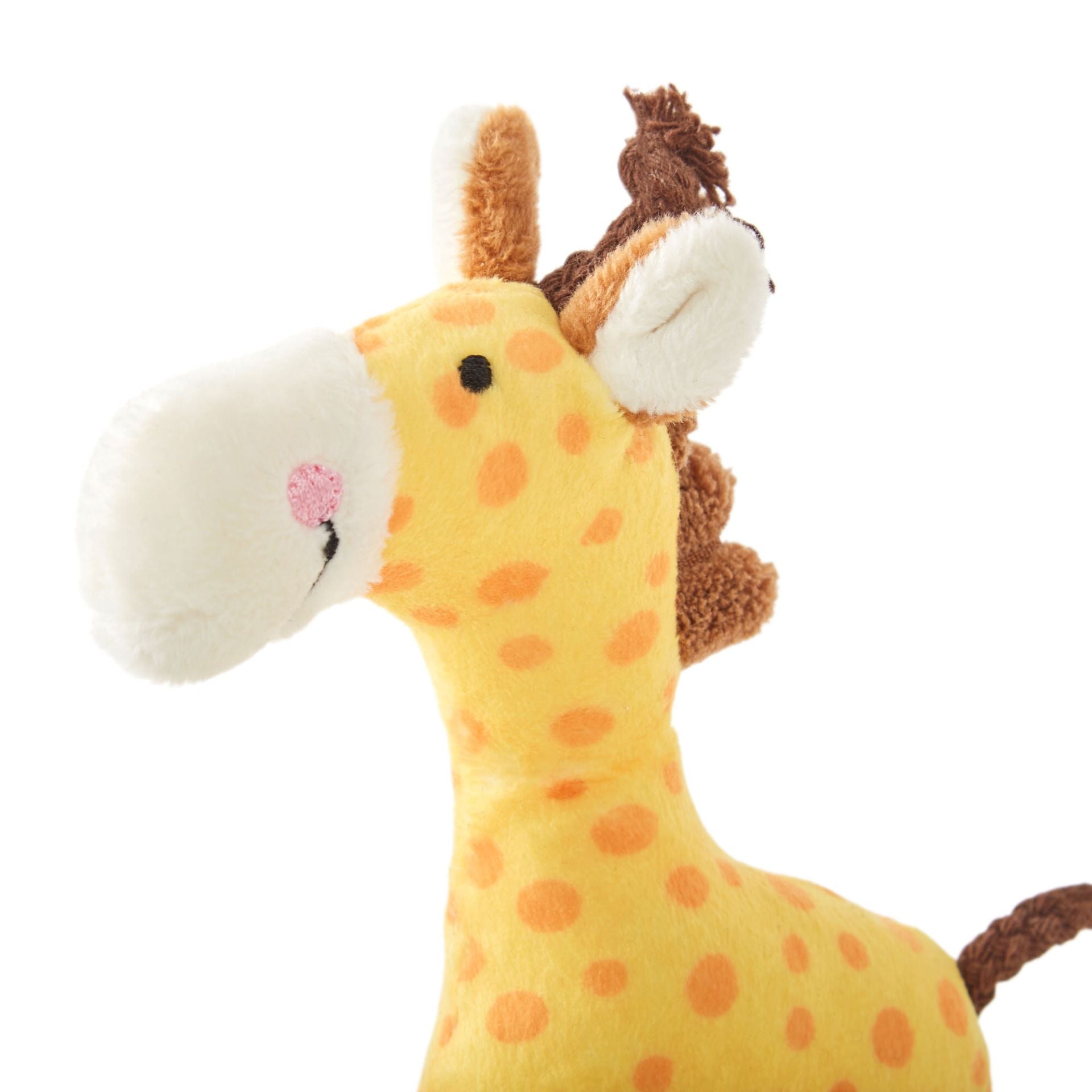 Rassel Giraffe
