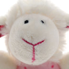 Rassel Schaf