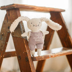 Hase Mutmacher