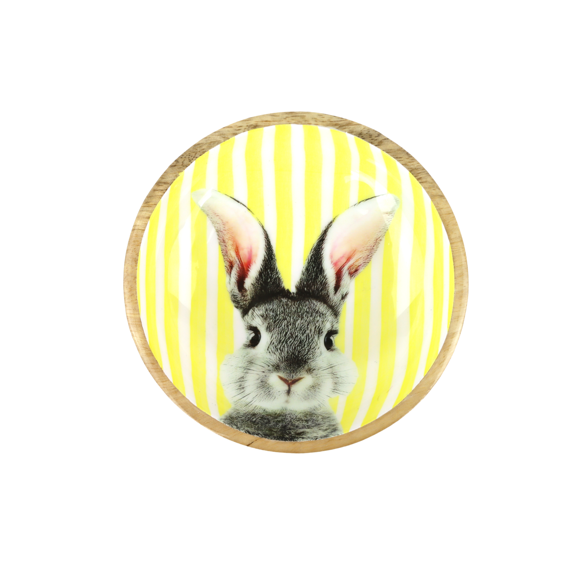 Schale klein Bunny Bliss