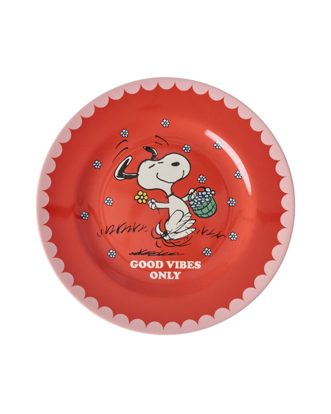 Teller Snoopy rot